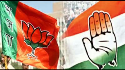 Bjp Candidate In A Rage On Seeing Cong Flags | Indore News - Times of India