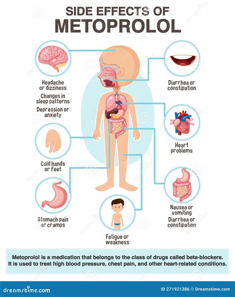 Human Anatomy Diagram Cartoon Style of Metoprolol Side Effects Stock Vector - Illustration of ...