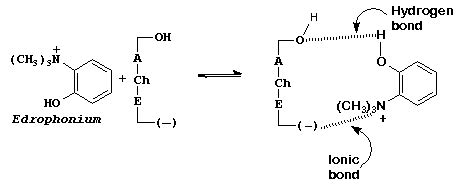 Quiz #5 KEY