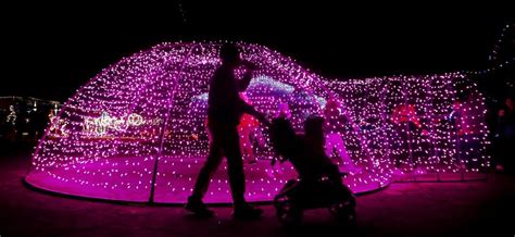 Let's glow, Tucson. The Winterhaven Festival of Lights returns this ...