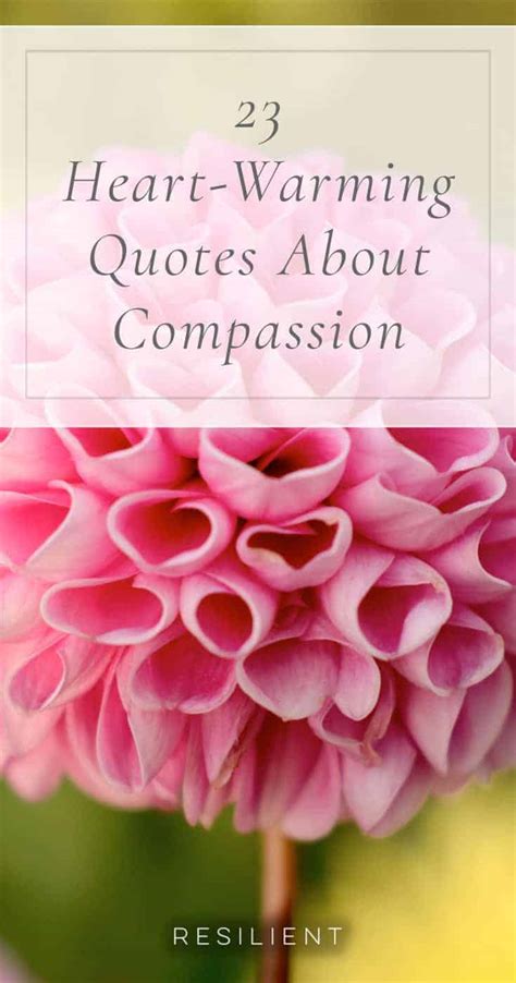 23 Heart-Warming Quotes About Compassion - Resilient