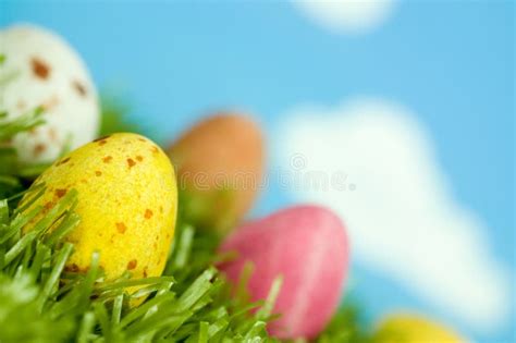 Spring Easter Eggs stock image. Image of nature, macro - 8440339