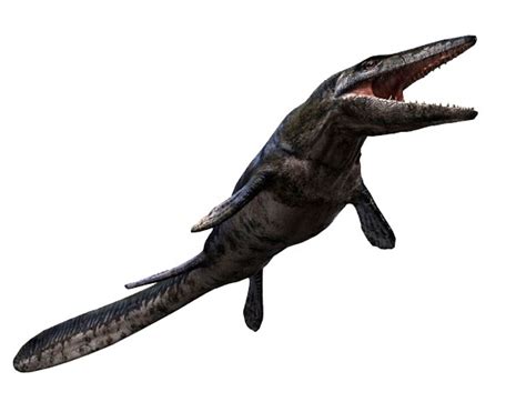 Tylosaurus Facts, Habitat, Diet, Fossils, Pictures