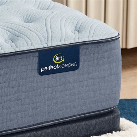 Serta Perfect Sleeper Renewed Sleep | Plush 15" - Ross Furniture Company