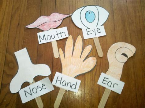 Five Senses Puppets | Actividades de inglés para niños, Actividades de aprendizaje del niño ...