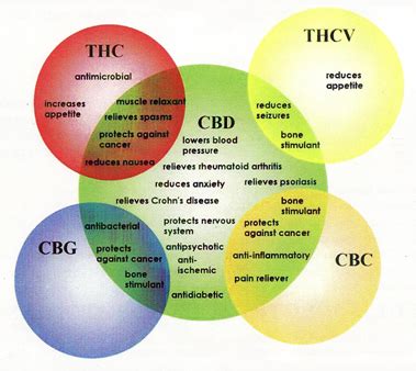 Cannabis Wheel Showing Cannabinoids and their Effects – Education & Resources for Medical ...