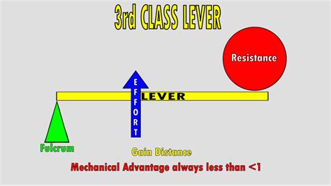 The 3 Classes of Levers – KinesiologyKris.com