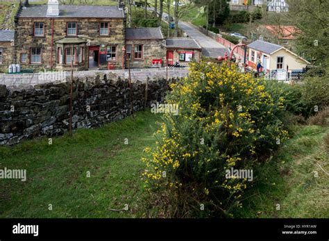 Goathland, North Yorkshire Stock Photo - Alamy