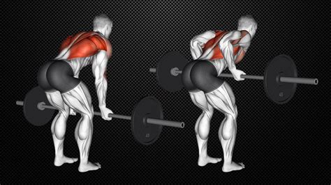 Master the Reverse Grip Row for Stronger Back and Biceps – Fitness Volt