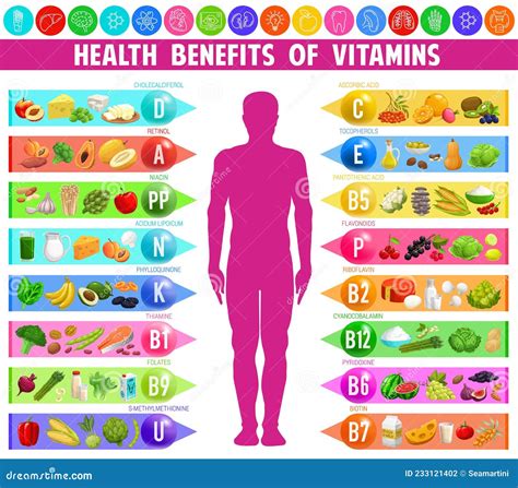 Benefits and Source of Vitamins, Minerals in Food Stock Vector ...