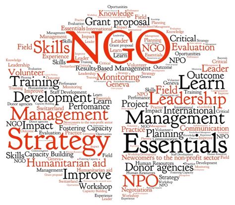 Three types of roles of NGOs - KB Cambodia