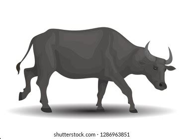 Carabao Black And White Clipart