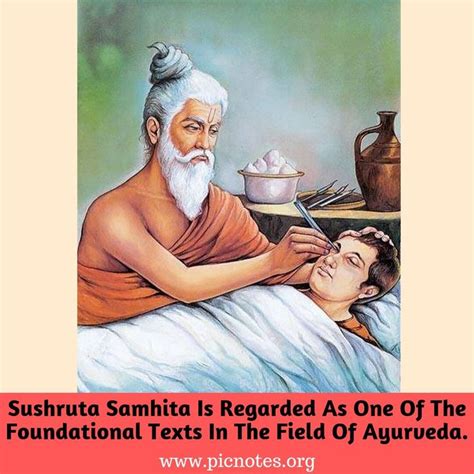 Sushruta | Indian history facts, Medical pictures, School wall art