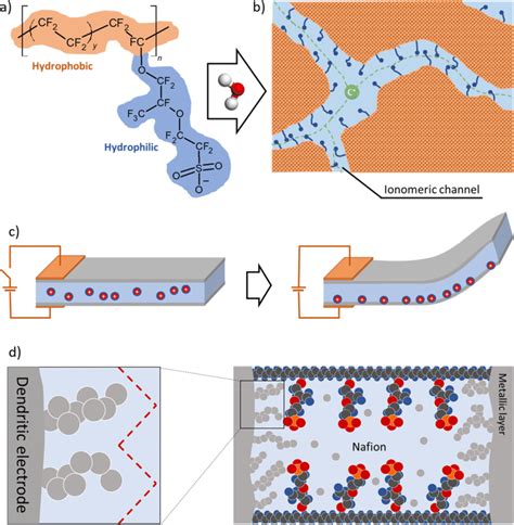 a Structure of Nafion 117 (y = 7), b schematic representation of the... | Download Scientific ...