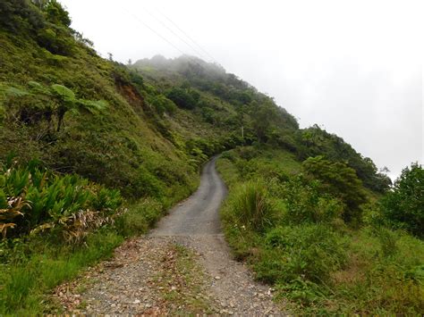 The Road Up Cerro de Punta | Cerro de Punta, at 4390 feet, i… | Flickr