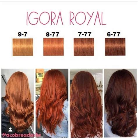 Pin de Alma Macabe em Alma mata | Cores de cabelo, Cabelo ruivo, Cor de ...