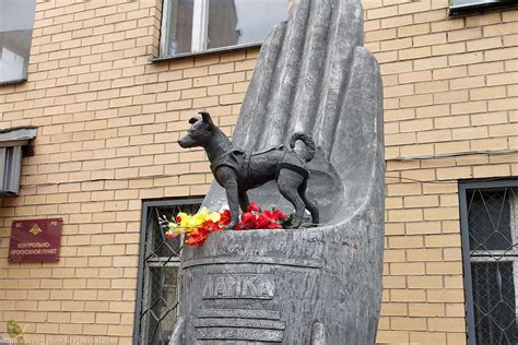 Monumento a Laika | Excursionar en Moscú City 🥇🥇