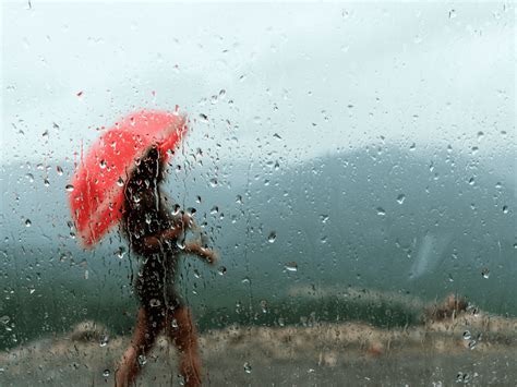 Incredible Compilation of 4K Rain Images: Over 999 Stunning Photos