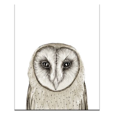 Owl | Wall Art | Artist Lane