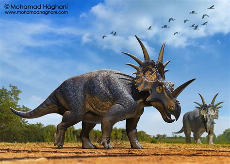 Styracosaurus by haghani on DeviantArt