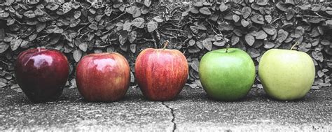 Five Apples Photograph by Steven Taylor - Pixels