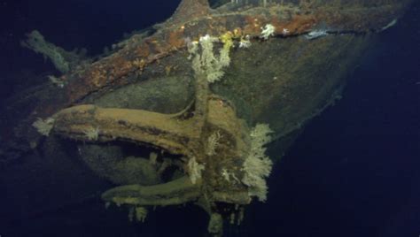 Dive footage: world's largest battleship #musashi wreckage found in philippines - scoopnest.com