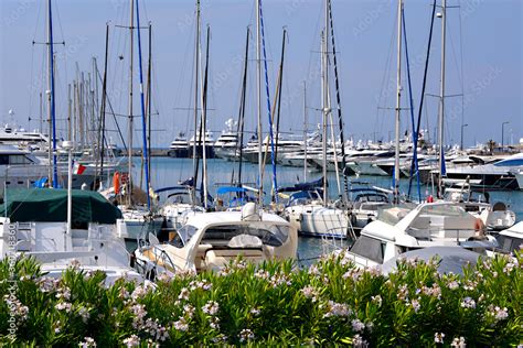 Harbor with rosebay in the foreground at Cannes in France, a city ...