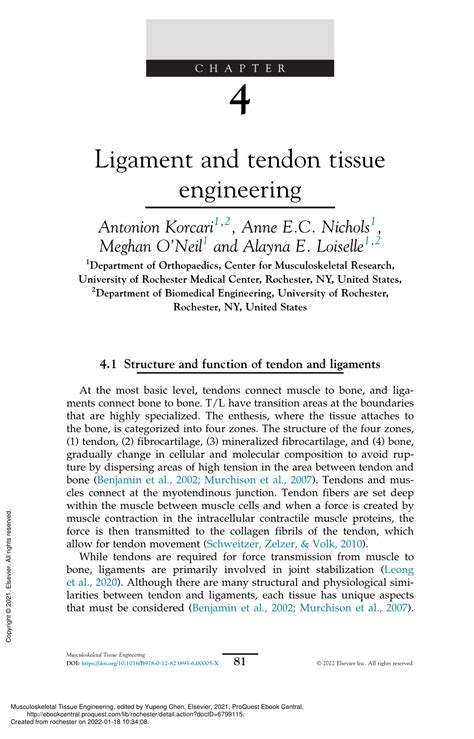 (PDF) Ligament and tendon tissue engineering