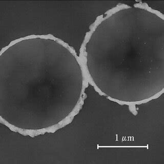 (PDF) Optical properties of metallo-dielectric microspheres in opal ...