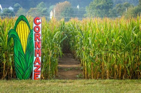 Get Lost! 16 Epic Corn Mazes to Explore this Fall