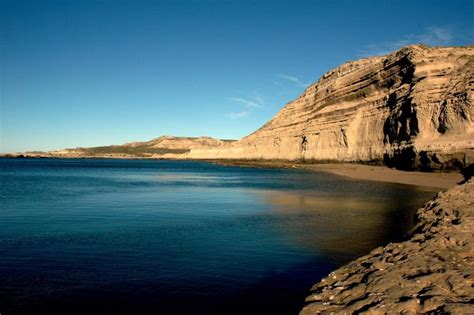 Full Day in Peninsula Valdes with Whale Watching in Puerto Piramides - Puerto Madryn, Argentina ...