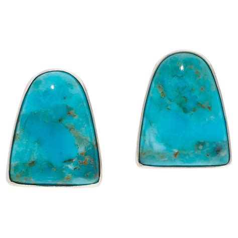 Jay King Heavenly Well Lake Turquoise Stud Earrings - 22657274 | HSN