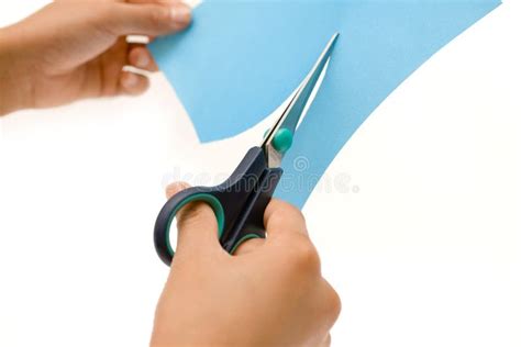 Hands Of Person Cutting Paper Stock Photo - Image of working, strip: 23771554