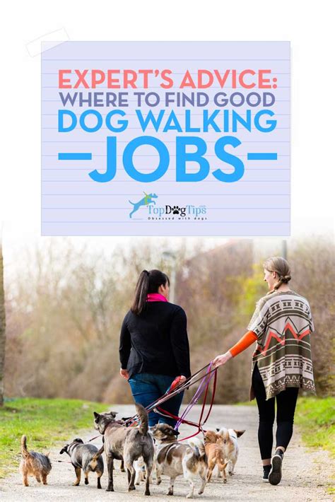 Dog Walker Jobs: Where and How to Find Dog Walking Work?