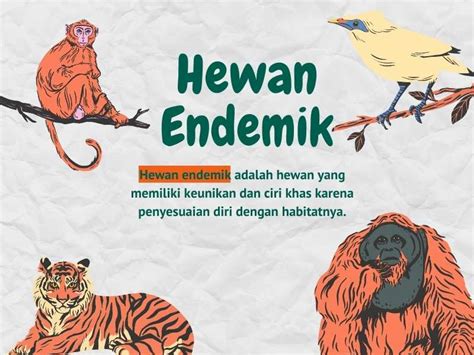 10+ Hewan Endemik Asli Indonesia Beserta Gambarnya