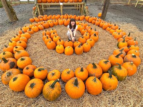 Fantastic Fall Festivals in Georgia - Endless Family Travels