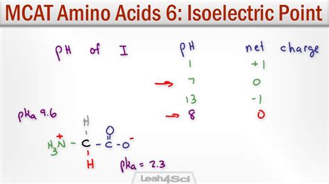 Isoelectric Point of Amino Acids with MCAT Shortcut - YouTube