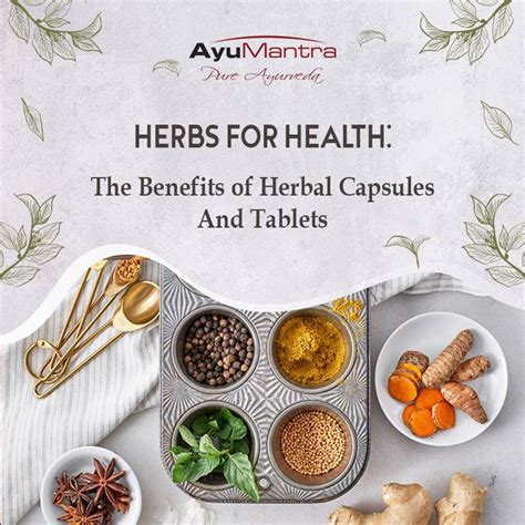 Herbs for Health: The Benefits of Herbal Capsules And Tablets