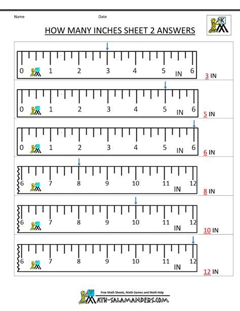 Reading A Metric Ruler Worksheet