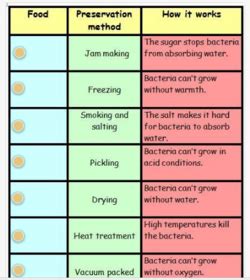 High and low risk foods | Slide Set