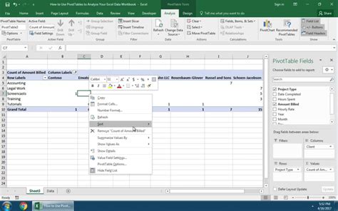 Amazing reports and data analysis with excel pivot tables - bingerdyna