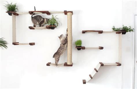 6 Climbing Walls Your Cat Will Love | Smack Bang Blog