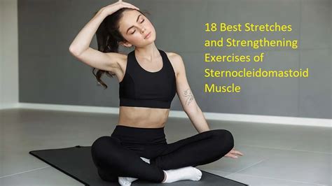 18 Best Exercises of Sternocleidomastoid Muscle