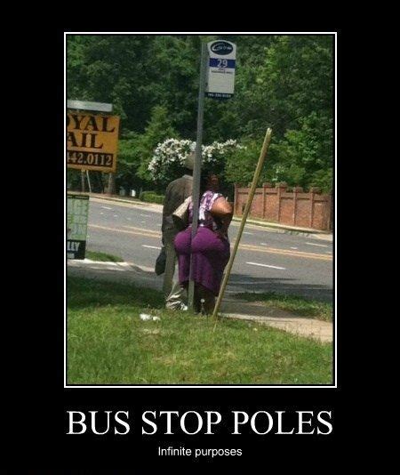 Bus stop poles | Demotivational posters, Bus stop, Funny pictures