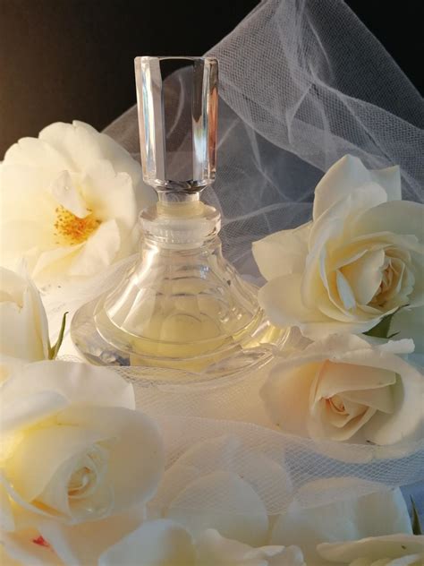 White Rose Natural Shiseido perfume - a fragrance for women 1954