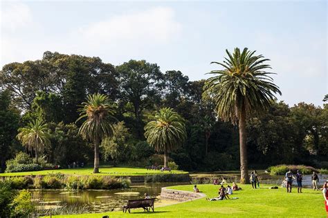 Best quiet parks for a picnic in Melbourne