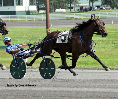 New York Sire Stakes Return to Monticello Raceway - Monticello Casino & Raceway