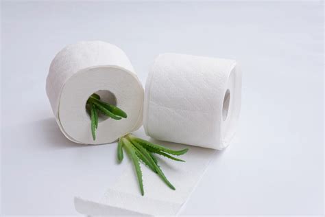 Biodegradable Toilet Paper: A Boon Or Bane? See 2 Amazing Aspects - Eco ...