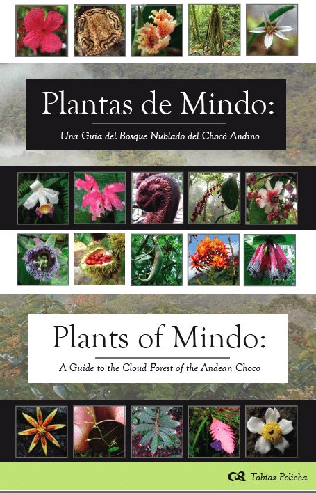 (PDF) Plantas de Mindo: Una guia del bosque nublado del Choco Andino ...