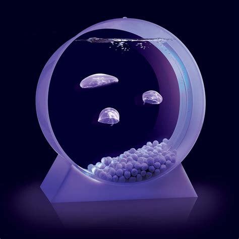 Moon JellyFish Desktop Tank - NoveltyStreet